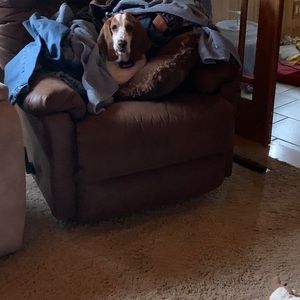 Meet your Posher, Kylie